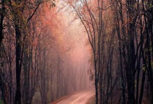 尤文-完胜维拉利亚尔，提前锁定下一轮资格