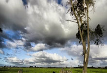 巴黎圣日耳曼主场击败摩纳哥，晋级淘汰赛