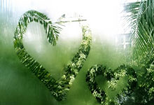 阿森纳兵败:狼队靠近争四行列