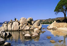 巴黎圣日耳曼主场击败摩纳哥，晋级淘汰赛