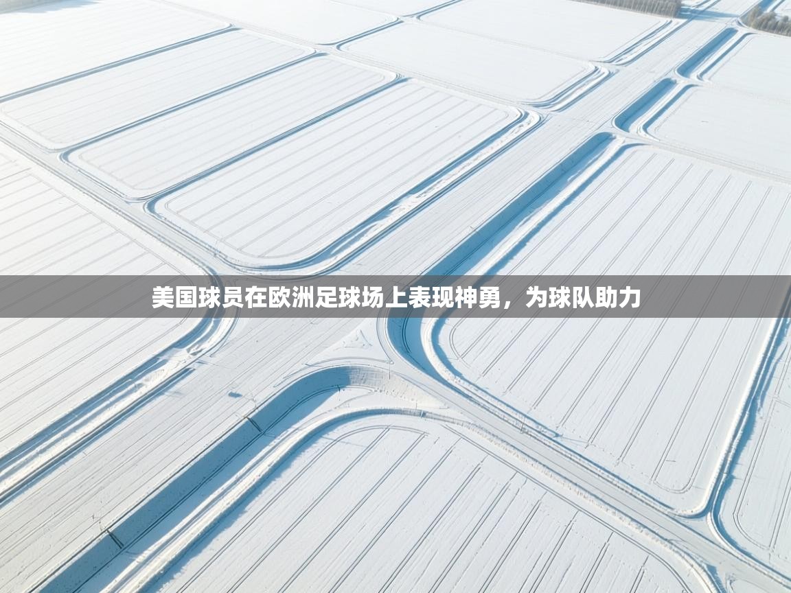美国球员在欧洲足球场上表现神勇，为球队助力  第2张